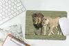 MuchoWow® Mauspad Mousepad Löwe - Löwin - Gras 27x18 cm - Produktbild-Vorschau 5
