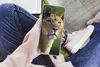 MuchoWow® Handyhülle Schutzhülle Hülle für Samsung Galaxy Produktbild-Vorschau 3