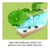 Kosmos 45496906, Experimentier-Set, Botanik, 8 Jahr(e) Produktbild-Vorschau 3