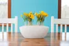 Yellow crocuses in a white planter on a wooden table, with white chairs and a blue wall in the background. Podgląd zdjęcia produktu