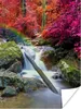 MuchoWow® Poster Regenbogen - Wasserfall - Bäume - Steine - Produktbild-Vorschau 1