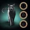 A grey cat is shown in front of a dark teal and black background, with three circular marketing badges on the right side. Produktbild-Vorschau