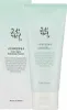 Beauty of Joseon Green Plum Refreshing Cleanser 100ml Anteprima dell’immagine prodotto 19