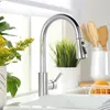 A kitchen sink with a faucet and some decorative plants. Podgląd zdjęcia produktu