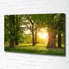 Tulup® Leinwandbild - 100x70 cm - Wandkunst - Drucke auf Produktbild-Vorschau 2