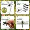 12er Set 3D Libellen-Clips mit Steckern - Realistische Produktbild-Vorschau 3