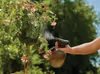 Gardena Postřikovač 1 L 11112-20 Náhled obrázku produktu 12