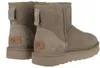 UGG Schuhe Classic Mini II, 1016222ALP, Größe: 36 Produktbild-Vorschau 5