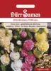 Dürr-Samen - Stockrosen/ Malven zweijährig 200 cm - Saatgut Produktbild-Vorschau 1