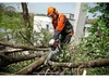 STIHL MS 261 Kettensäge / Motorsäge 37cm + Kette 1,6mm Produktbild-Vorschau 8