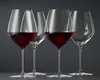 Spiegelau HI-LITE 1750160 Set de verres à bourgogne/2 , Voir les images du produit 16