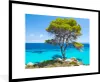 MuchoWow® Gerahmtes Poster Baum - Meer - Tropisch - Sommer Produktbild-Vorschau 1