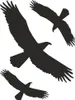 Hermann Schütz Aufkleber Kontur Vogel-Sortiment 3teilig 3 Produktbild-Vorschau 1