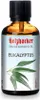 Holzhacker Sauna Aufgussöl Eukalyptus 60 ml Produktbild-Vorschau 1