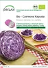 SAFLAX - Bio - Czerwona Kapusta - 250 Nasiona - Brassica Podgląd zdjęcia produktu 1