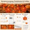 Lichterkette für den Herbst – 300 cm – 20 LEDs – Produktbild-Vorschau 2