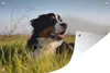 MuchoWow® Produktbild-Vorschau 1