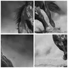 Bilder auf glas - Einteilig - Pferd Galopp dynamisch - Produktbild-Vorschau 8