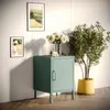 A seagreen metal cabinet with a vase of white flowers and a potted plant next to it, displayed in a room with framed pictures on the wall. Anteprima dell’immagine prodotto