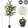 ML-Design umelý olivovník 210 cm, umelá rastlina s kmeňom z Náhľad obrázku produktu 7