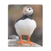 MuchoWow® Mauspad Mousepad Papageientaucher 30x40 cm - Produktbild-Vorschau 1