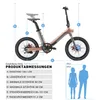 Smart 30 20 Zoll Design City E-Bike 250W 36V 9,6Ah bis 60 Produktbild-Vorschau 7