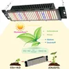 Diagram illustrating plant photosynthesis with an LED grow light. Anteprima dell’immagine prodotto
