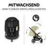 hauck 3in1 Kinderwagen Set Shop N Care Trio Set inkl. Produktbild-Vorschau 10
