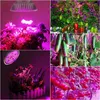 300W LED Pflanzenlampe E27, Vollspektrum Pflanzenlicht mit Produktbild-Vorschau 3