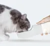 Borraccia da viaggio per animali domestici, con ciotola e Anteprima dell’immagine prodotto 24