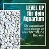 Kieselsteine Garten Zierkies Weiß 15-25 mm 25 kg Aquarium Produktbild-Vorschau 5
