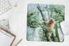 MuchoWow® Mauspad Mousepad Zwergseidenäffchen im Baum 30x30 Produktbild-Vorschau 5
