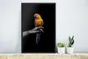 MuchoWow® MuchoWow® Gerahmtes Poster Vogel - Zweig - Produktbild-Vorschau 4