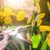 KADAX Set voor het vastbinden van planten, inclusief 20 Productafbeelding-voorbeeld 3