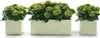 Pflanzkübel Kebe 100 x 40 cm oasi Greener, mit Rollen und Produktbild-Vorschau 2