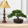 Kunstbonsai, Podocarpus, zeder, kiefer, zwarte keramische Productafbeelding-voorbeeld 7