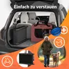 A collage of images showing a dog ramp in a car, a dog carrier, a woman walking a dog, and accessories like a collapsible bowl. Produktbild-Vorschau