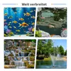 A collage of four images showing different water features and aquatic life, likely used for marketing purposes. Produktbild-Vorschau