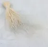 Federgras Getrocknete - (Stipa pennata) - Gebleicht Produktbild-Vorschau 5
