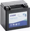 eXIDE Batteria motore AGM riempita in fabbrica 12V 12Ah Anteprima dell’immagine prodotto 1