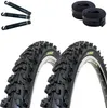 2 pneumatici Kenda K-829 Psycho per mountain bike, misura Anteprima dell’immagine prodotto 1