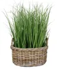 Natur Rattankorb NORDERNEY Kubu Grey ca.40cm Pflanzkorb Produktbild-Vorschau 2