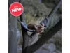 Chauve-souris Animigos en peluche Voir les images du produit 5