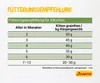 Josera 4032254755005, Kitten, Geflügel, 2 kg Produktbild-Vorschau 11