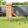 PawHut Agility Set voor Honden: 4-delige agility-uitrusting Productafbeelding-voorbeeld 2