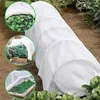 MIKONI Pflanzvlies | 1,1 m x 5 m |  Weiß | Frostschutzvlies Produktbild-Vorschau 3