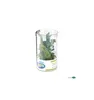 papo 33018 Set de mini-figurines de dinosaures Voir les images du produit 9
