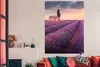MuchoWow® Poster Lavendel - Blumen - Lila - Feld 120x160 cm Produktbild-Vorschau 2