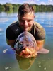 Tandem Baits SuperFeed Diffusion Mini Fluo Pop-Up Coco Produktbild-Vorschau 10