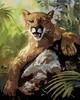 Zuty - Maľovanie podľa čísel - PUMA LEŽIACA NA KAMENI (D. Náhľad obrázku produktu 1